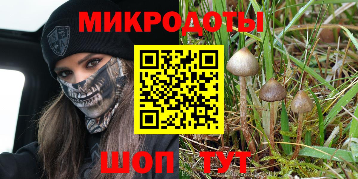 Заволжье  Галлюциногенные грибы MAGIC MUSHROOMS  Вход с VPN 